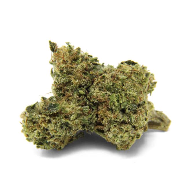 Ricky Bobby (Hybrid) - Indoor THCa Flower (3.5g) - Image 2