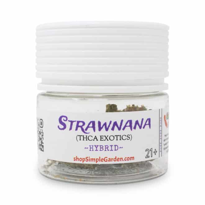 Strawnana (Hybrid) - Indoor THCa Flower (3.5g) - Image 3