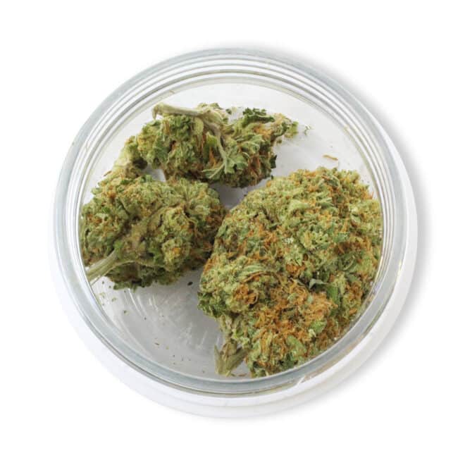 Strawnana (Hybrid) - Indoor THCa Flower (3.5g) - Image 4