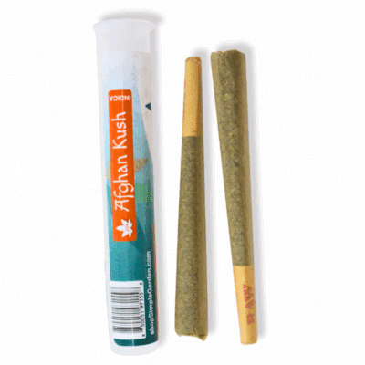 1.5G THCa Diamond-Tipped Flower 2-Pack Pre-Roll – Afghan Kush (Indica)