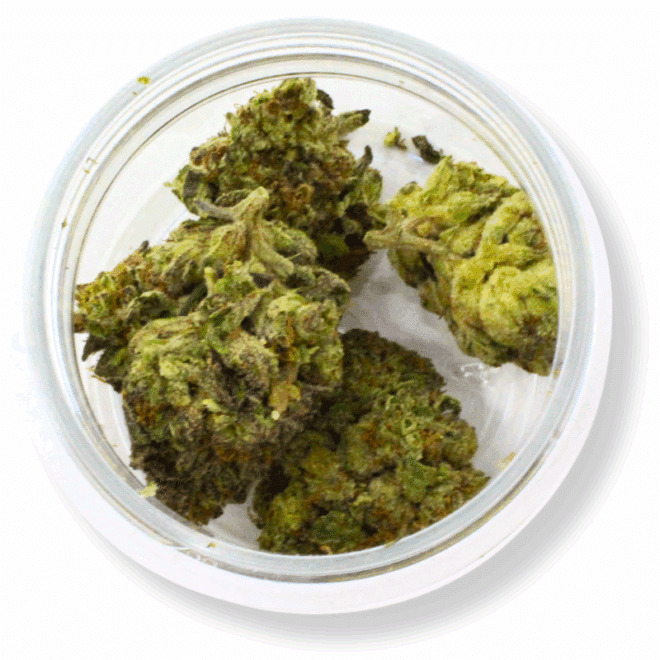 Big Chillz (Hybrid) - Indoor THCa Flower (3.5g) - Image 4