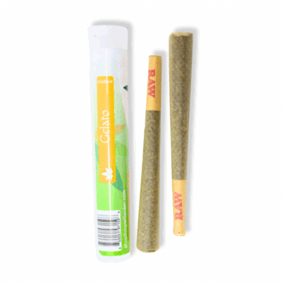1.5G THCa Diamond-Tipped Flower 2-Pack Pre-Roll – Gelato (Hybrid)