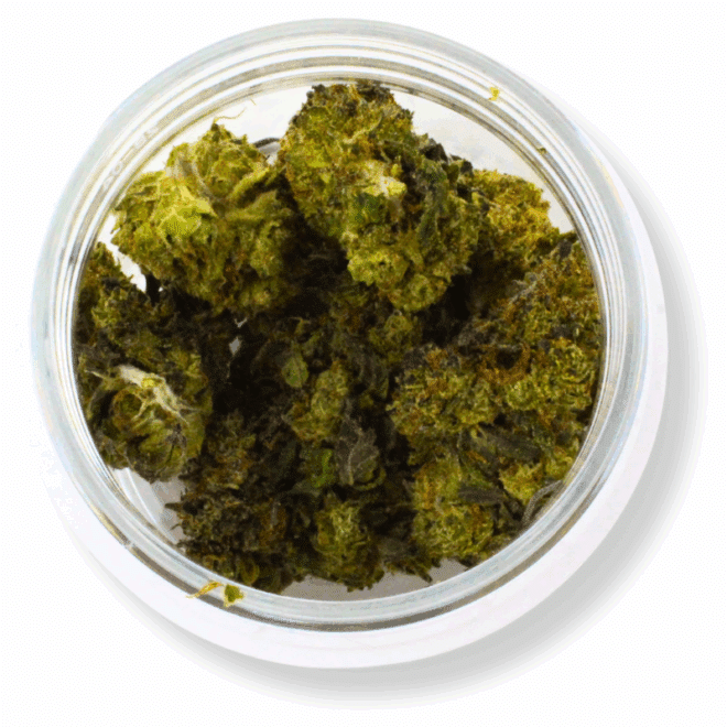 Gelato Runtz (Hybrid) - Indoor THCa Flower (3.5g) - Image 3