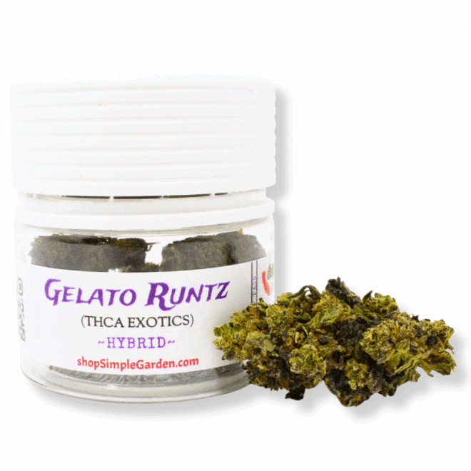 Gelato Runtz (Hybrid) - Indoor THCa Flower (3.5g) - Image 2