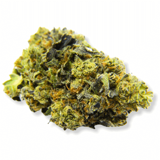 Gelato Runtz (Hybrid) - Indoor THCa Flower (3.5g)