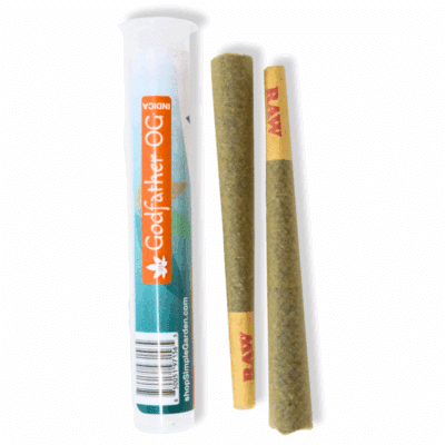 1.5G THCa Diamond-Tipped Flower 2-Pack Pre-Roll – Godfather OG (Indica)