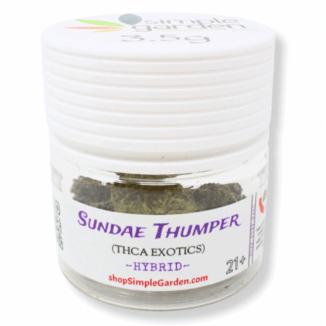 Sundae Thumper (Hybrid) - Indoor THCa Flower (3.5g) - Image 4