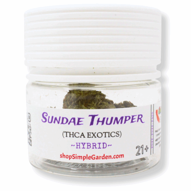 Sundae Thumper (Hybrid) - Indoor THCa Flower (3.5g) - Image 5