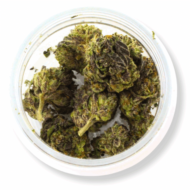 Venom Runtz (Hybrid) - Indoor THCa Flower (3.5g) - Image 3
