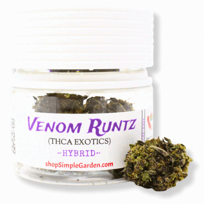 Venom Runtz (Hybrid) - Indoor THCa Flower (3.5g) - Image 2