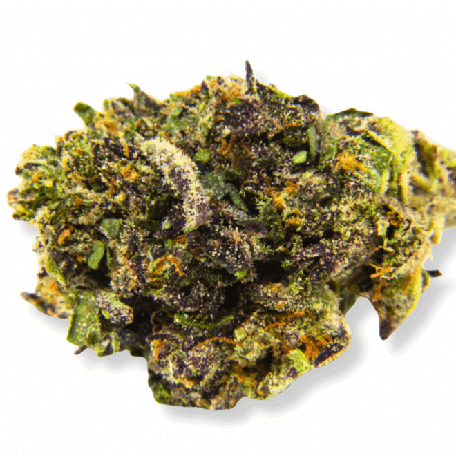 Venom Runtz (Hybrid) - Indoor THCa Flower (3.5g)