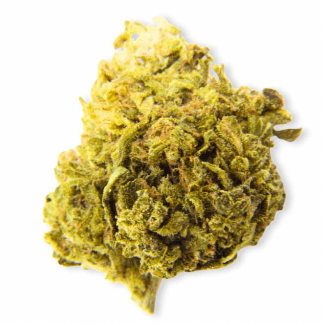 Candie Kiss (Sativa) - Indoor THCa Flower (3.5g)