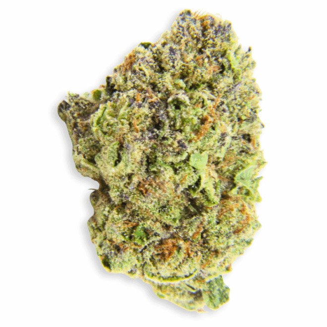 Cap 'n Crunch (Hybrid) - Indoor THCa Flower (3.5g)