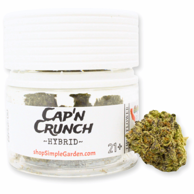 Cap 'n Crunch (Hybrid) - Indoor THCa Flower (3.5g) - Image 4