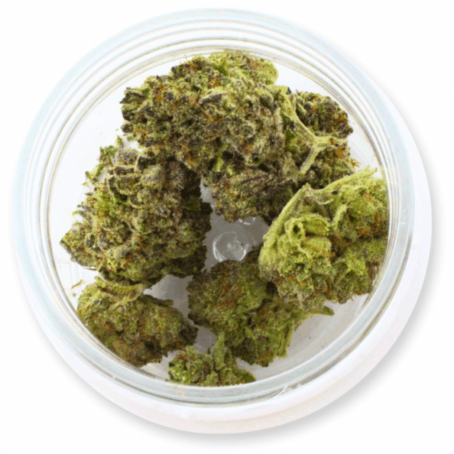 Green Candy (Sativa) - Indoor THCa Flower (3.5g) - Image 4