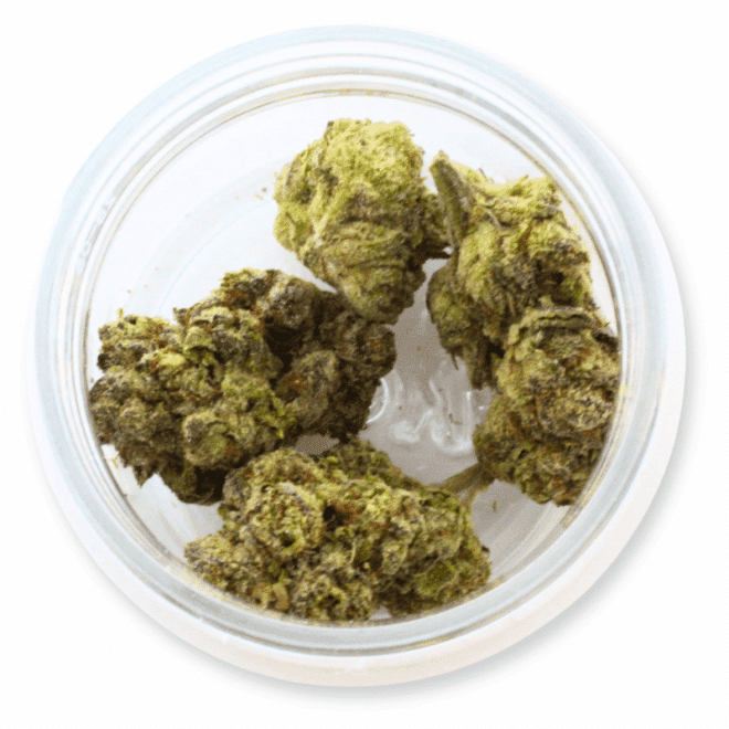Kandy Kush (Indica) - Indoor THCa Flower (3.5g) - Image 3