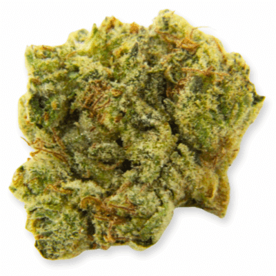 Prime8 Fuel (Indica) - Indoor THCa Flower (3.5g)