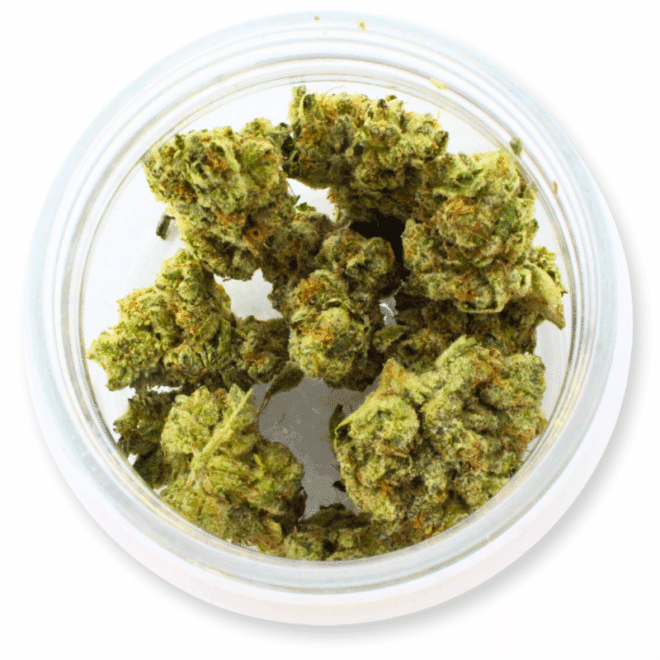 Prime8 Fuel (Indica) - Indoor THCa Flower (3.5g) - Image 3