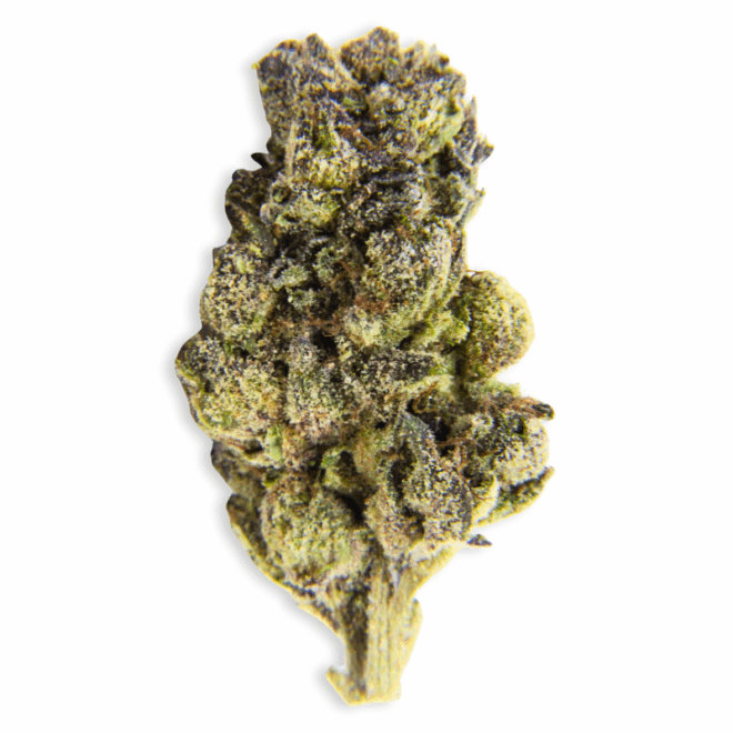 Ridgeline Runtz (Hybrid) - Indoor THCa Flower (3.5g)