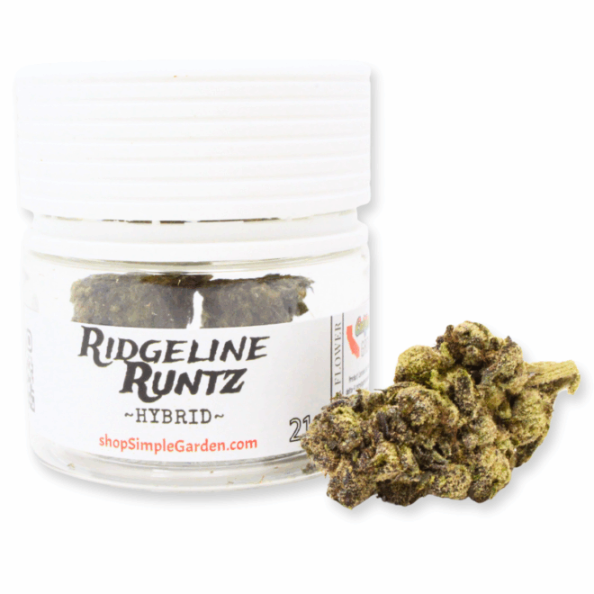 Ridgeline Runtz (Hybrid) - Indoor THCa Flower (3.5g) - Image 4