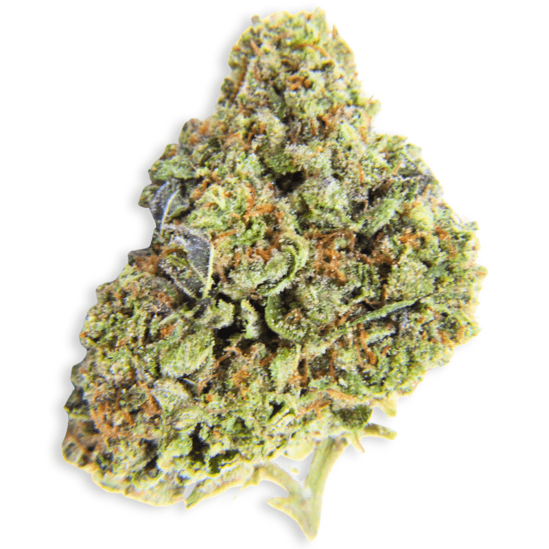 Super Bad (Indica) - Indoor THCa Flower (3.5g)