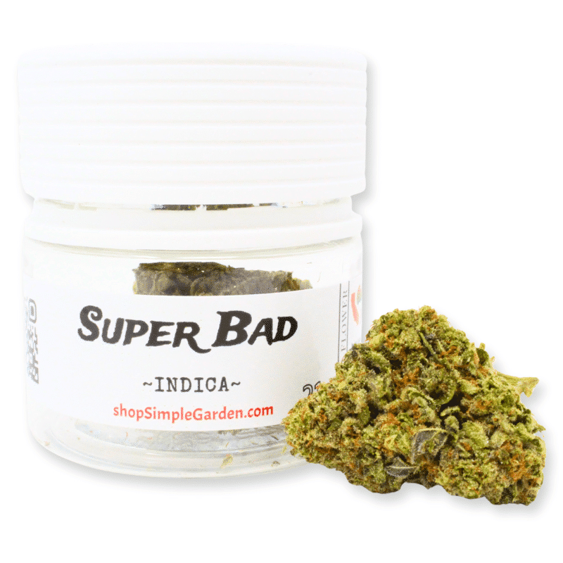 Super Bad (Indica) - Indoor THCa Flower (3.5g) - Image 4