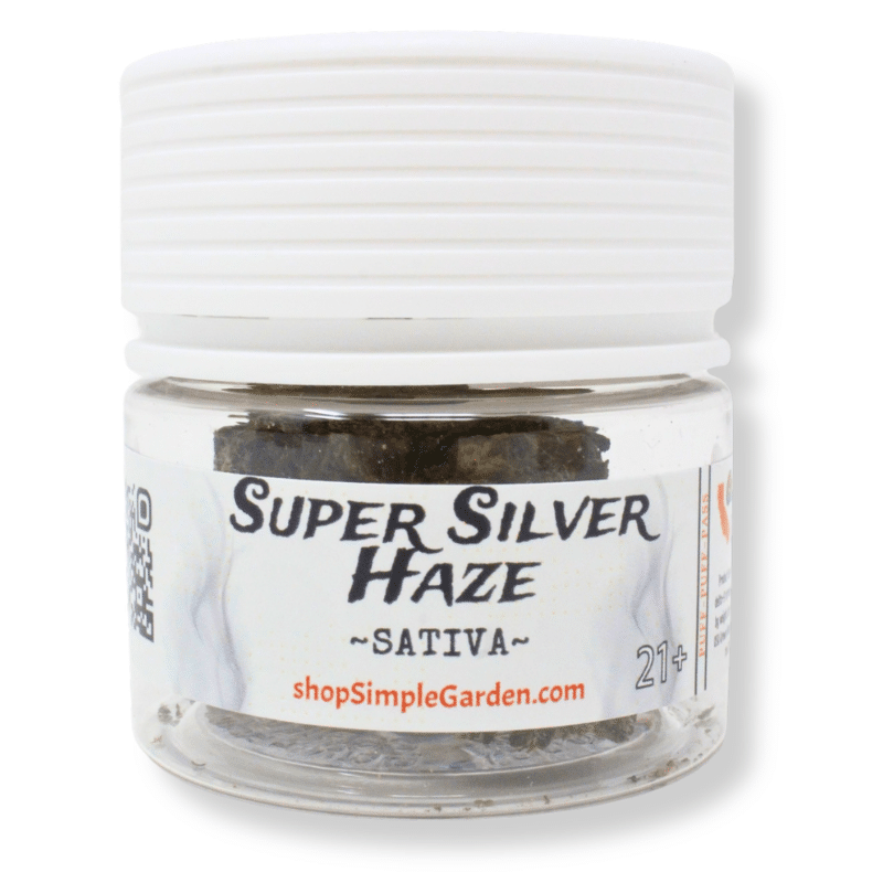Super Silver Haze (Sativa) – Indoor THCa Flower (3.5g) - Image 3