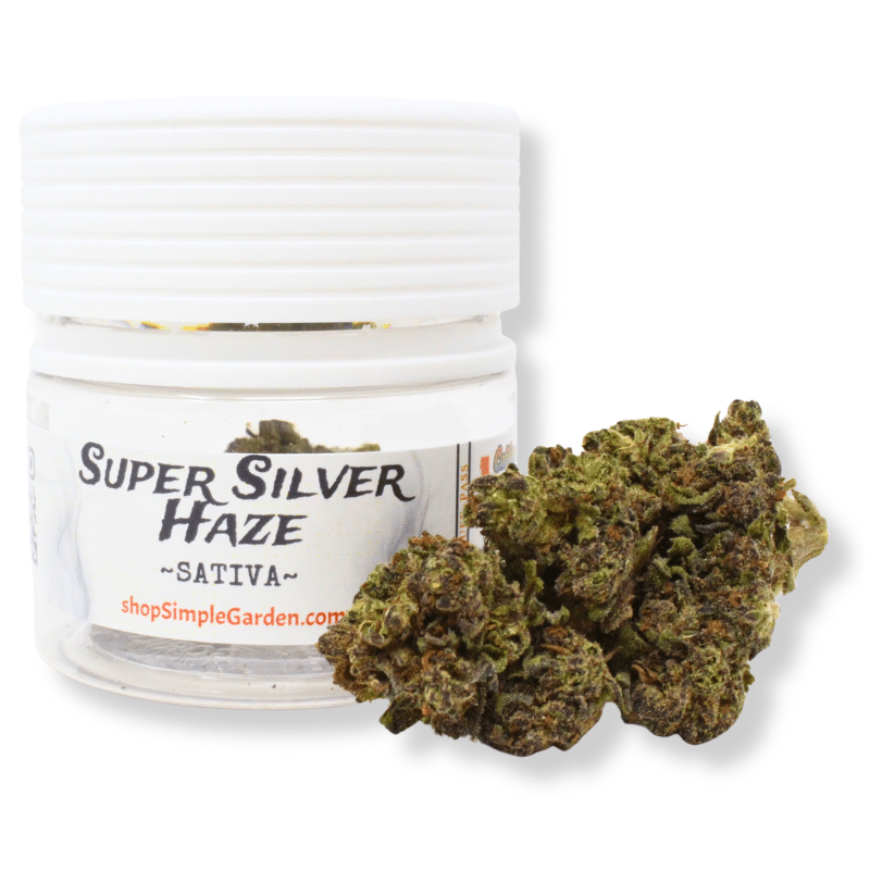 Super Silver Haze (Sativa) – Indoor THCa Flower (3.5g) - Image 5