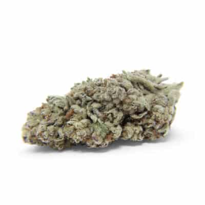 Dante (Indica) - Indoor THCa Flower (3.5g)