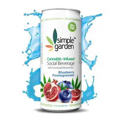 "Blueberry Pomegranate" THC-Infused Social Beverage (4pk)