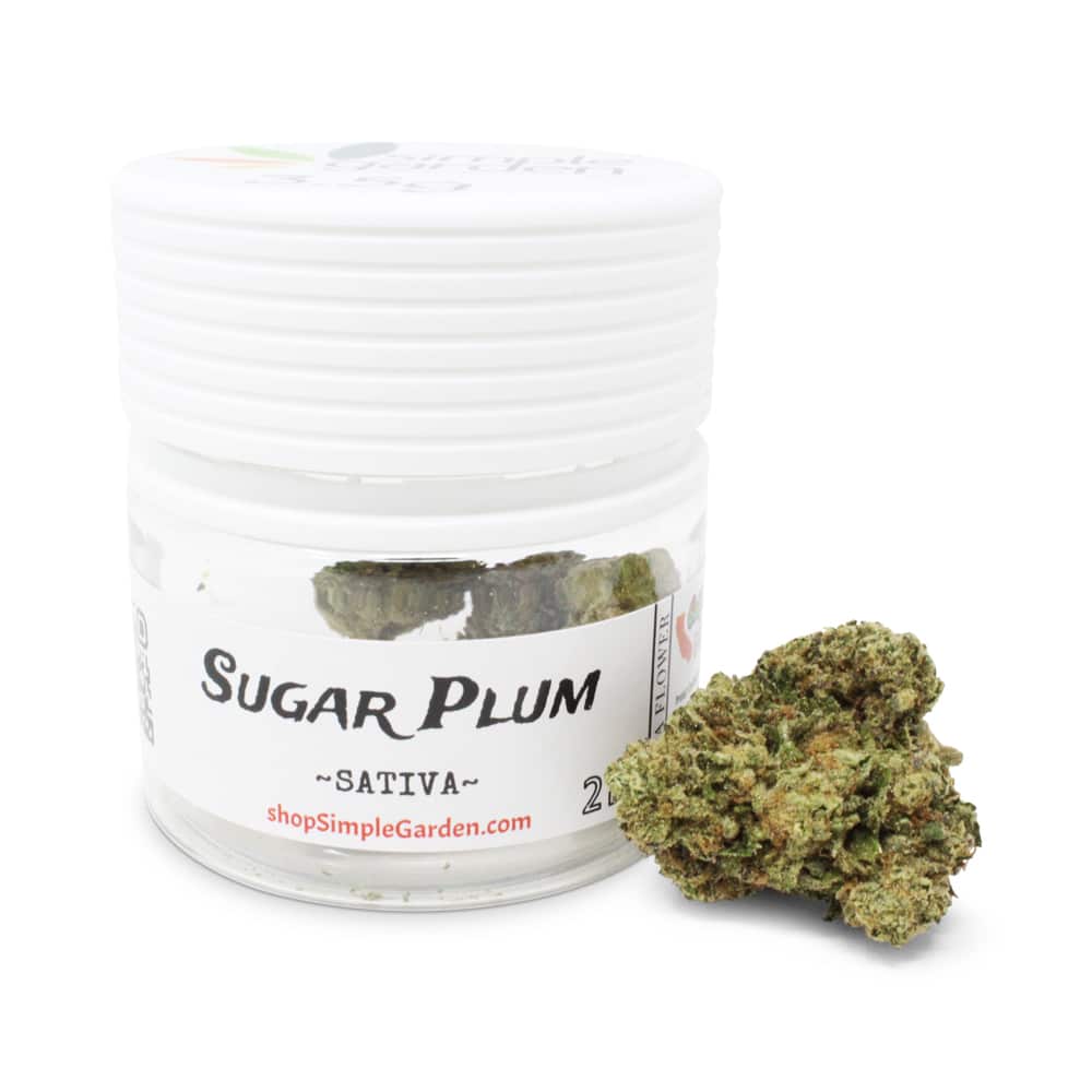 Sugar Plum (Sativa) - Indoor THCa Flower (3.5g) - Image 2