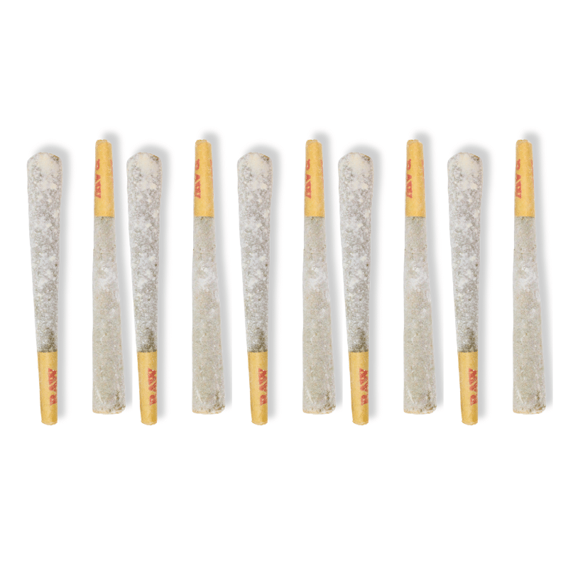 1.5G THCa Diamond-Coated Flower 10-Pack Pre-Roll – Master Kush (Indica) - Image 3