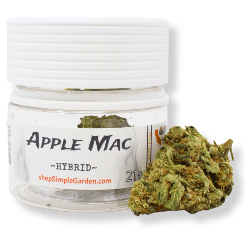 Apple Mac (Hybrid) - Indoor THCa Flower (3.5g) - Image 5