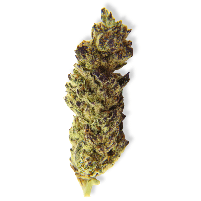 Bubble Gum Gelato (Indica) - Indoor THCa Flower (3.5g)